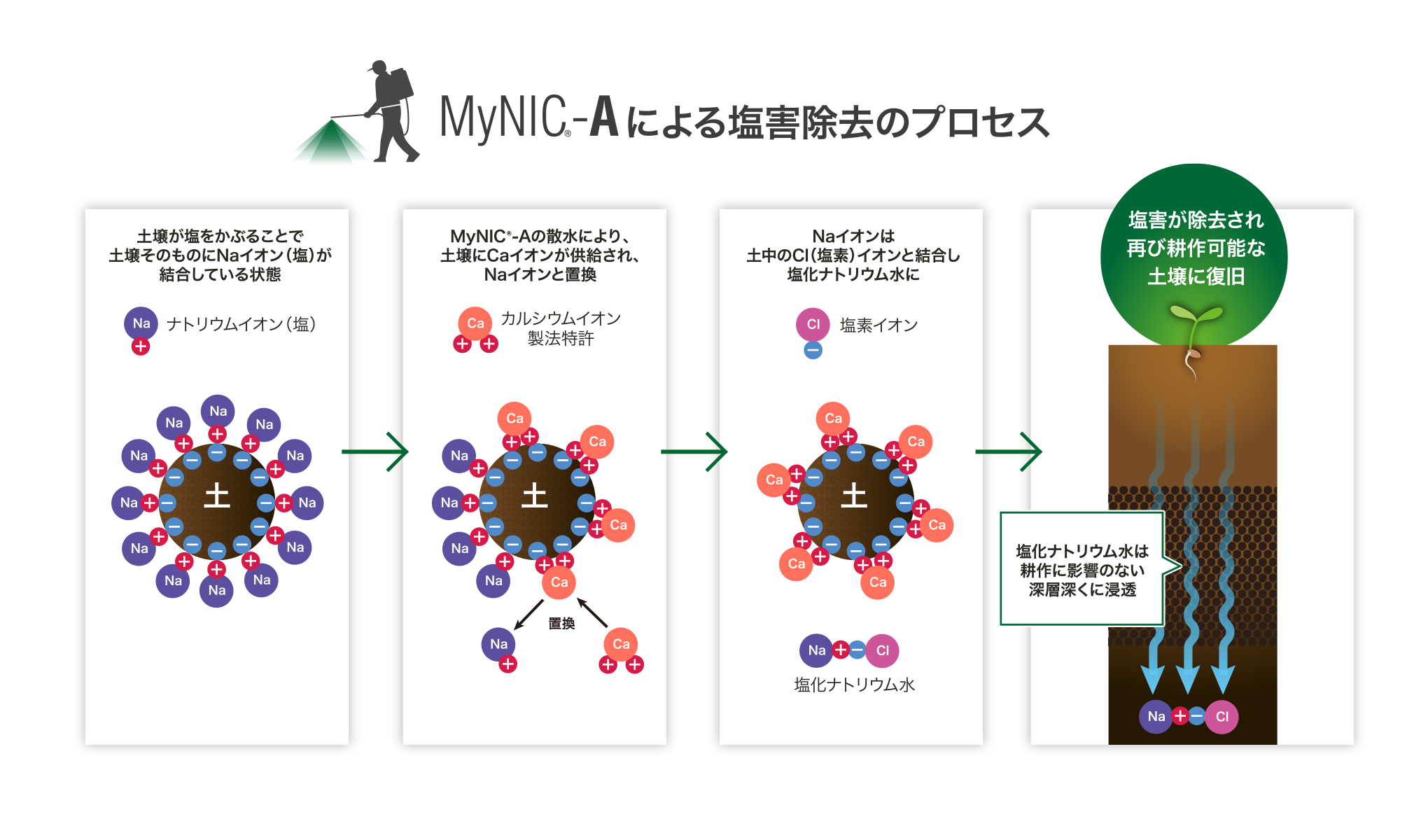 オリーブ技研　MyNIC-Aを用いた「塩害除去」のプロセス