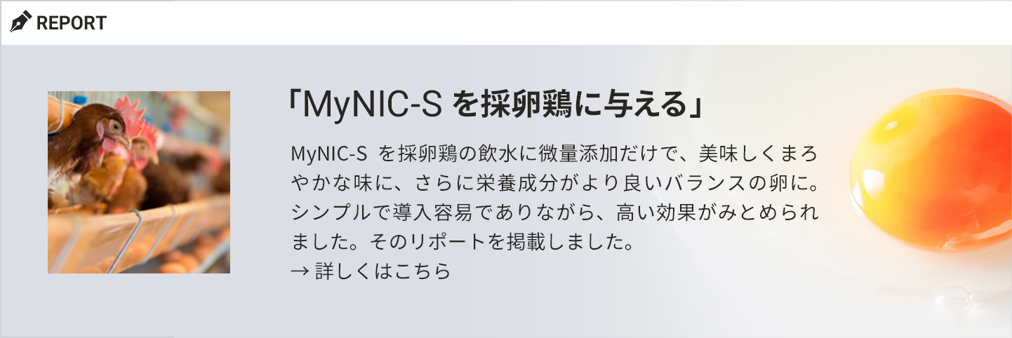 リポート／還元水「MyNIC-S」を採卵鶏に与える